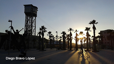 La Barceloneta Recopilaci&oacute;n.
